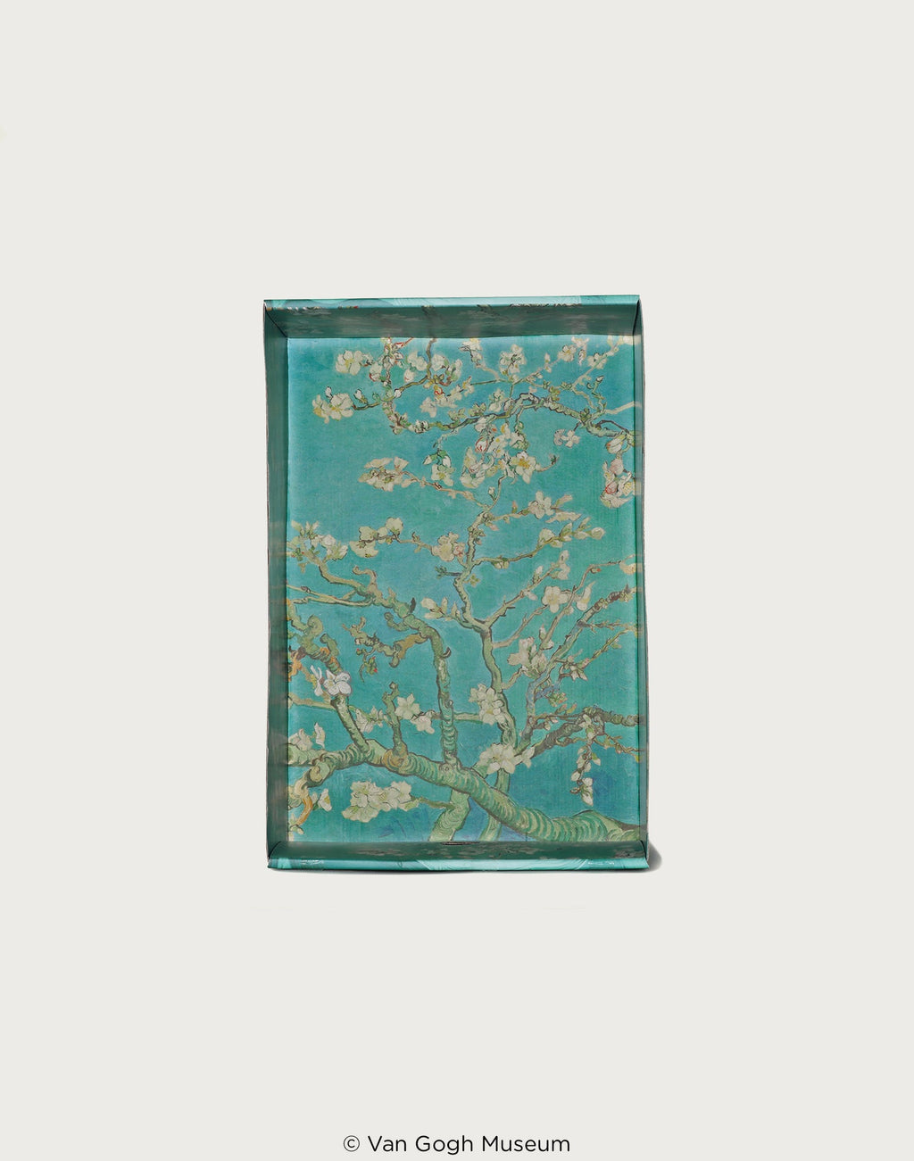 BAPE STA BAPE X VGM - ALMOND BLOSSOM MENS