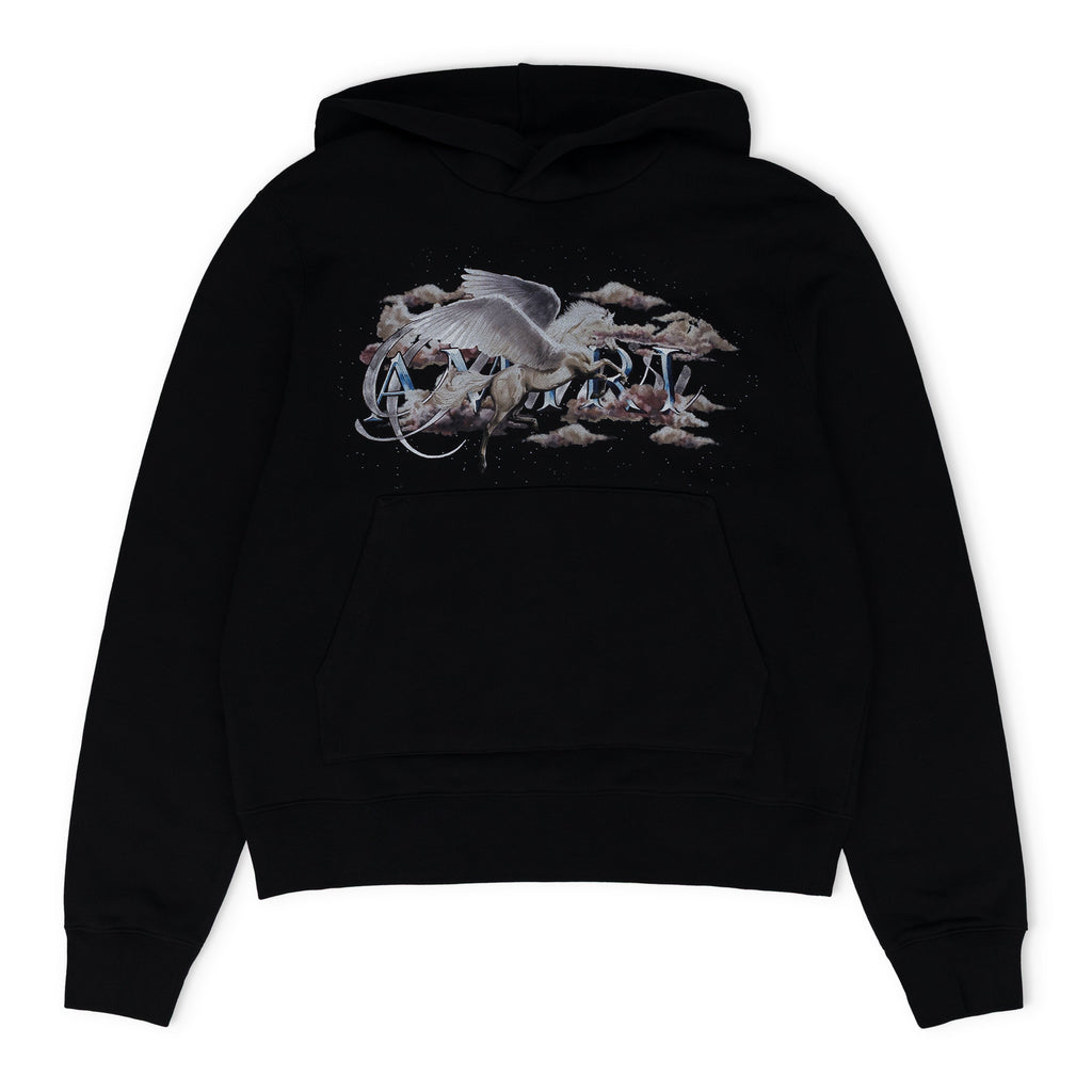 Black Pegasus Script Hoodie
